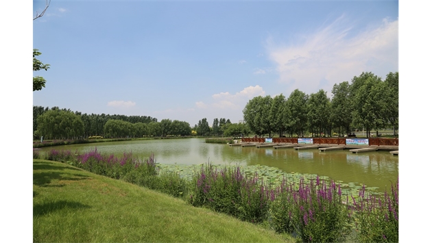 標題：包頭市民公園
瀏覽次數(shù)：1608
發(fā)表時間：2020-10-16