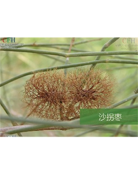 標(biāo)題：名貴樹(shù)種
瀏覽次數(shù)：1605
發(fā)表時(shí)間：2020-10-17