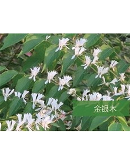 標(biāo)題：?jiǎn)坦嗄?瀏覽次數(shù)：1513
發(fā)表時(shí)間：2020-10-17